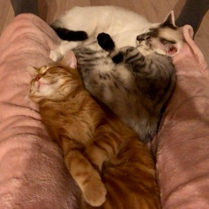 F46c1d14 88a6 4e21 a2e8 10e4b7800d5e