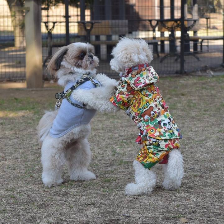 F46cb647 f20a 4e86 8b20 1fe9ffcd7270