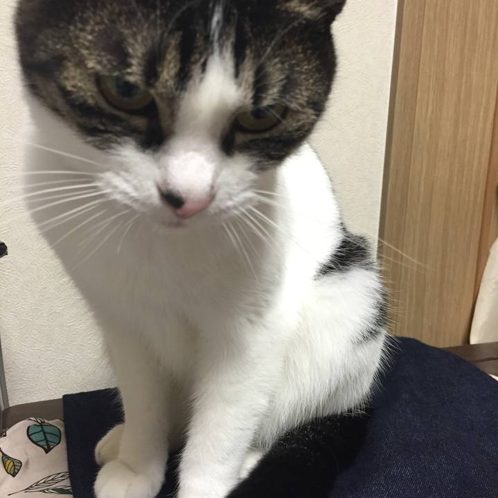 F46d4c13 aae0 4b13 ba8c 6f521c999a55