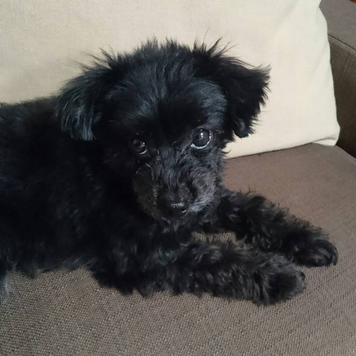 F46dbe35 1c06 4179 a4f9 ad15e67566c3