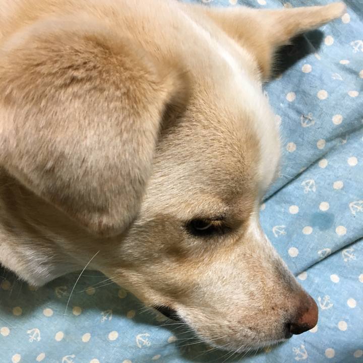 F46e204c 6fb2 434b 8fe4 cd5757d9ca4d