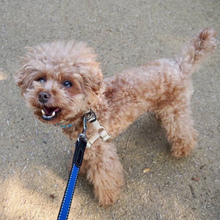 F46e7bde 1f65 4f6b 85d4 ef4e021415b3