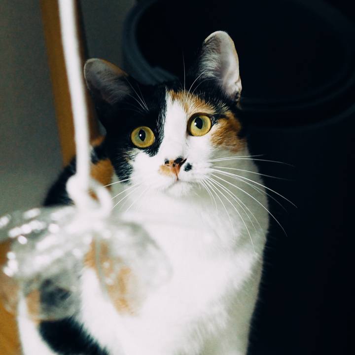 F47014a4 5635 49a7 bf62 87abef3a690e