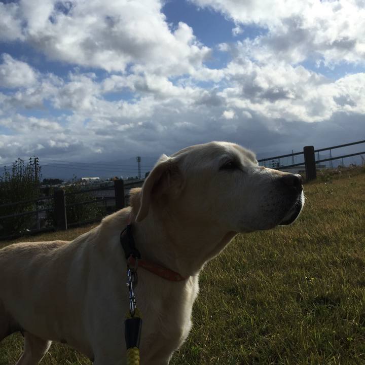 F470673d 4e37 4910 abb7 dd44703fe9dc