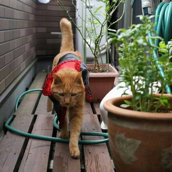 F47172ff 28b7 4f9f 98a2 fed68173c42c