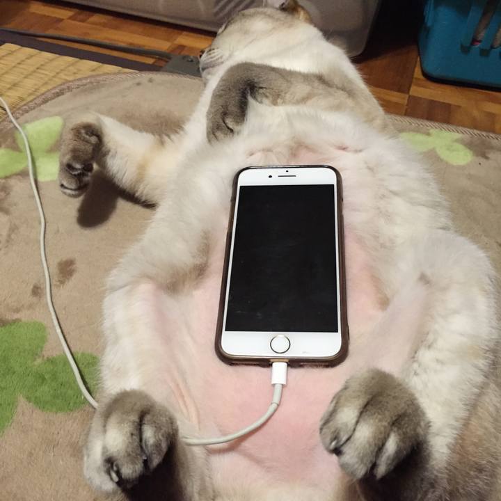 F471c278 e49e 4d94 8ce8 e672c3c54f05