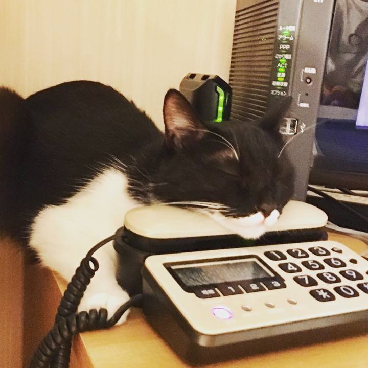 F471d278 26e8 4894 a127 f0595b2a1a7e