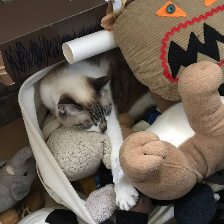 F471e5ea b8f9 4cc8 a10b ea28f3c1ba00