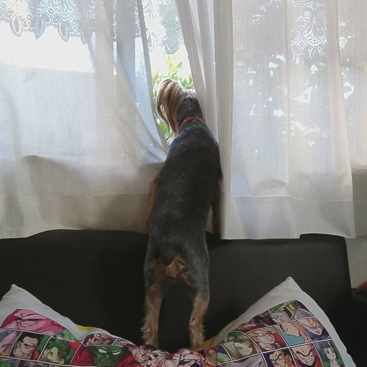 F4720d88 d3d2 4db9 84e6 45b634287f11