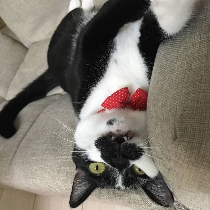 F47241a4 7a39 4684 a500 a54ceea1bb6b