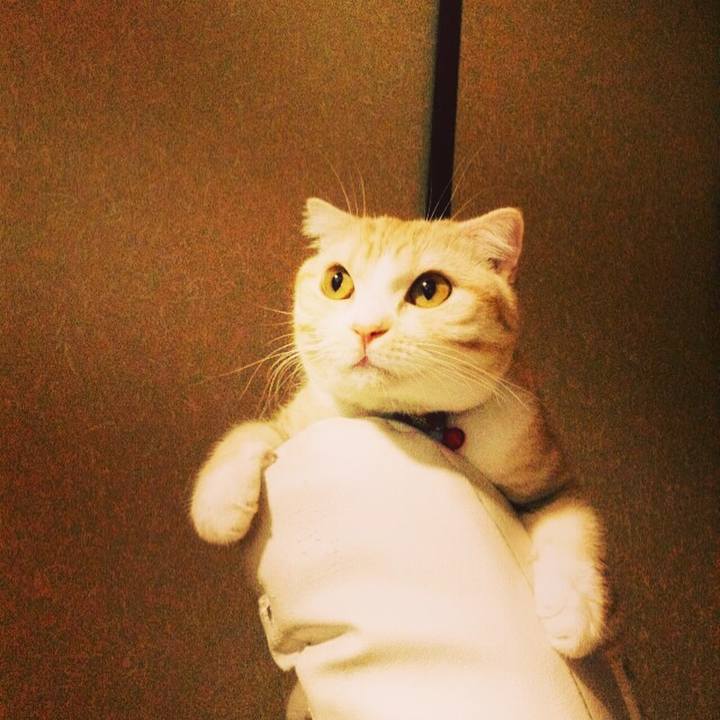 F4724c7c 2c7a 4ffb a32f 307ba0c24d8f