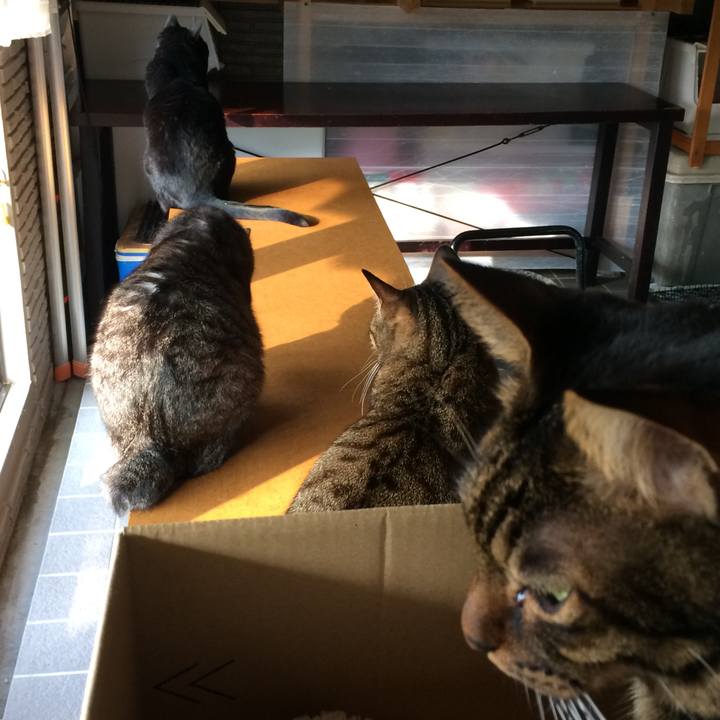 F472fd13 ddea 4926 aa1a f6ca7897f8ce