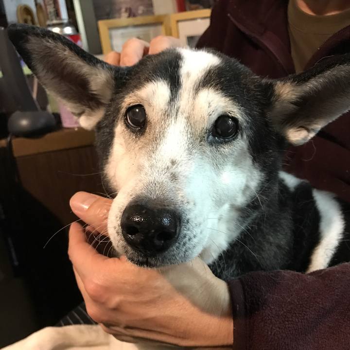 F473d93d f687 4548 bd14 ee109d600d5e