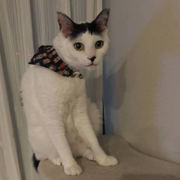 F4745ff3 d0c2 4d06 bf64 8e999bd9bc92