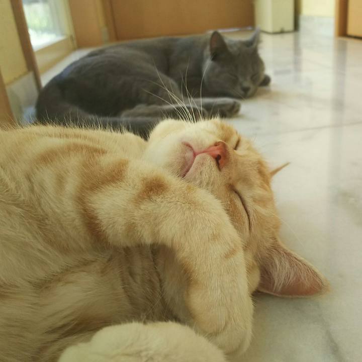 F47583cc 43b1 4985 b73b 55b53bb62d86