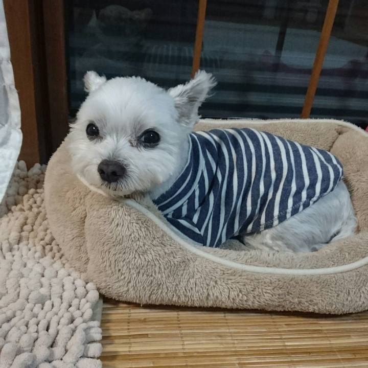 F475ae7e 573d 4675 a962 a8cf9dc9c313