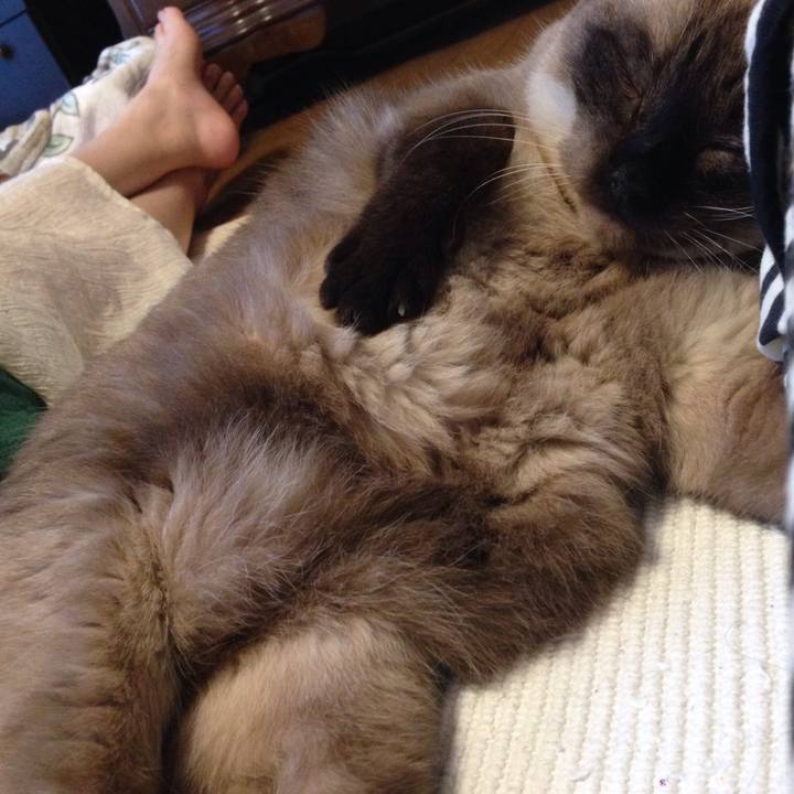 F475e0c9 1869 4afc b0d1 76a89ae576c6