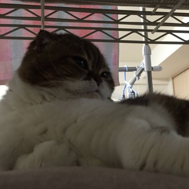 F475eb6f f26f 4f3d 80fa 7b4a900bf904