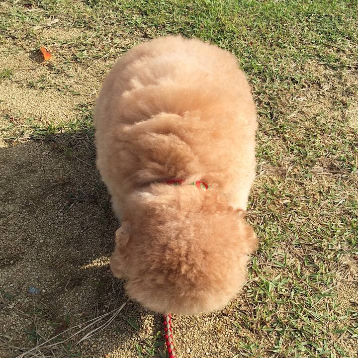 F475eec9 2d6b 4aa2 93af 159bb4e865bf