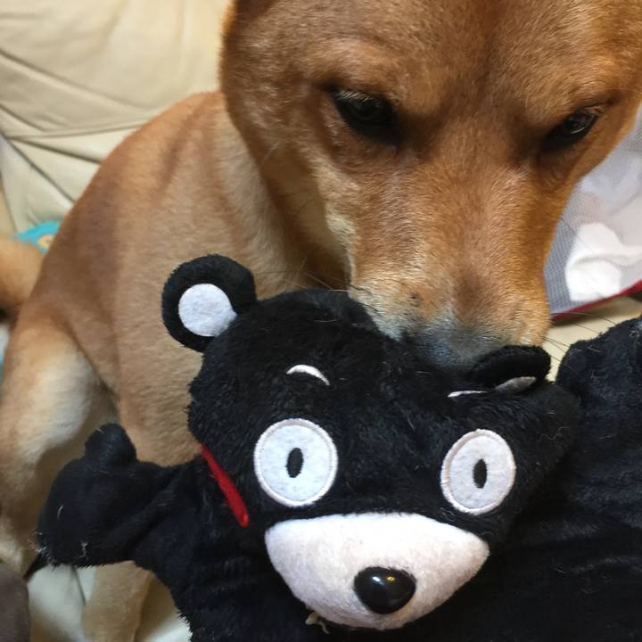 F47738a5 8f0e 48a1 8d6e 8e5ac65804fc