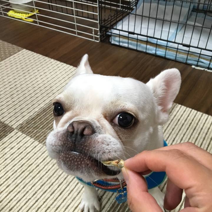 F4775f50 9d95 4476 a175 c71173e45e68