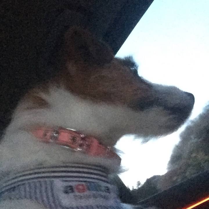 F477c7b3 4e70 42af b5cc d5294f234ab0