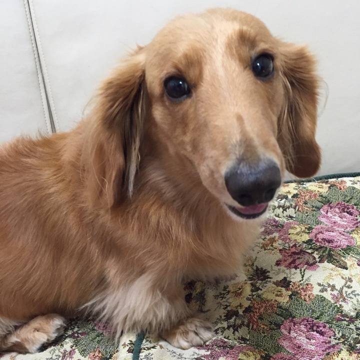 F47808f3 f570 46ff 9f09 dac4d8116fd3