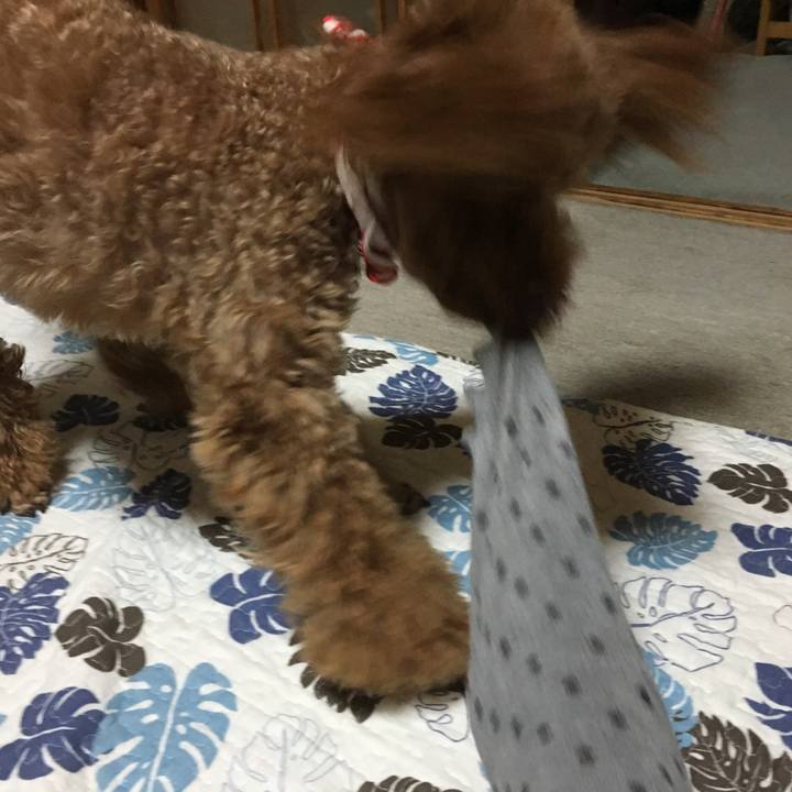 F4786f3a 6f34 4027 8090 adfe6f0bfe02