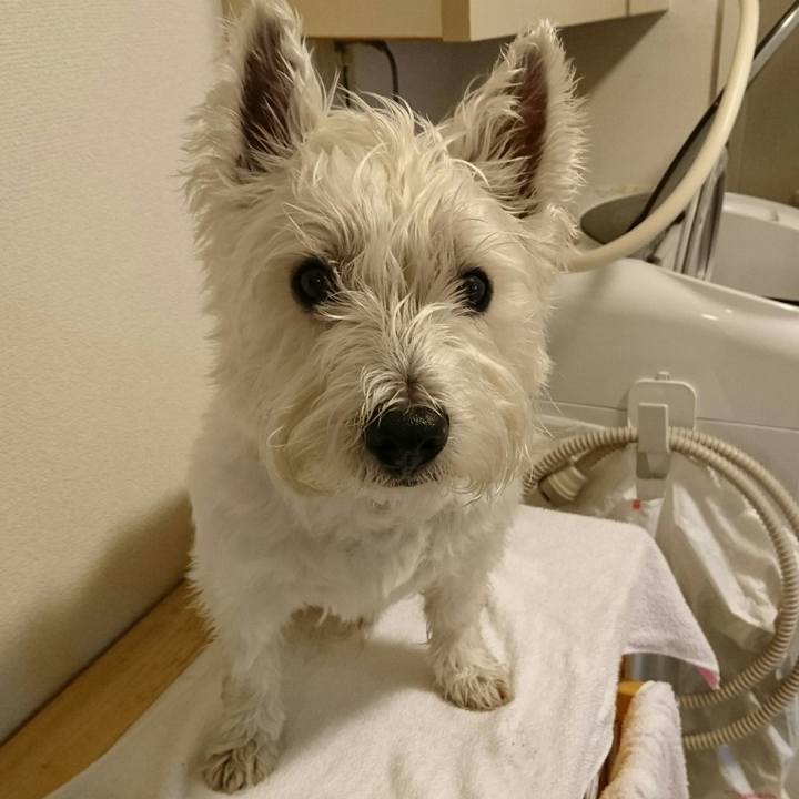 F47891b4 e229 40f6 a0a0 2c68b5c5acb5