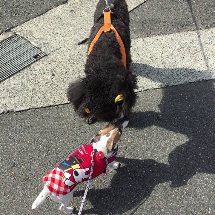 F4791432 0306 4dfe 845d f16e0e54ce2f