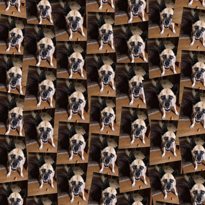 F4793c4f d1e2 46bb 993b cd24fb436068