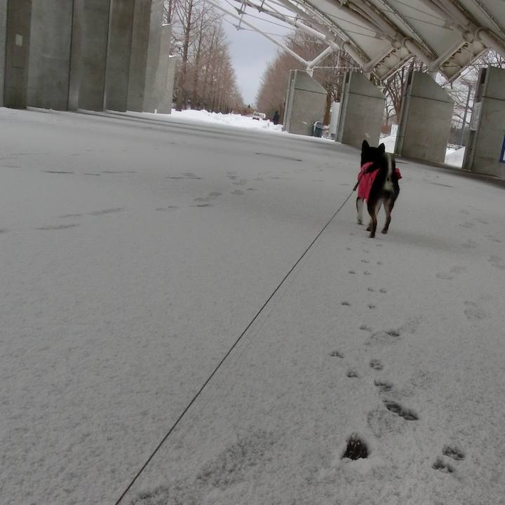 F47978f0 ec6b 4f4a 83e9 6710c1c0b435