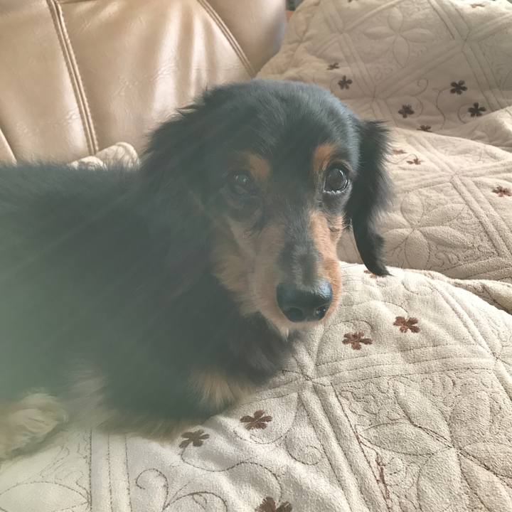 F47a2b90 fb43 4063 a859 a4882da9bc86