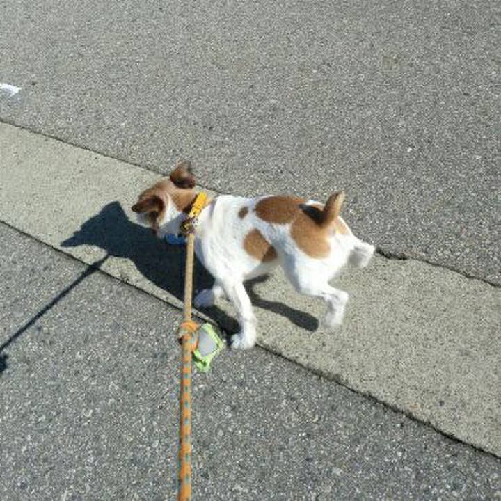 F47b58bb 9377 4fa7 b591 f5946d3aad97