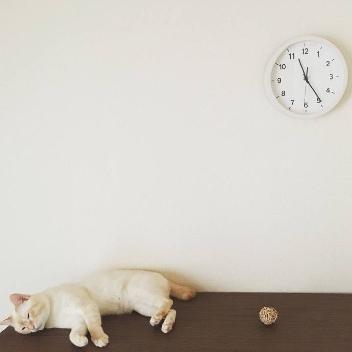 F47bbe0d 1f80 49e3 a31a f7f2ed8944d9