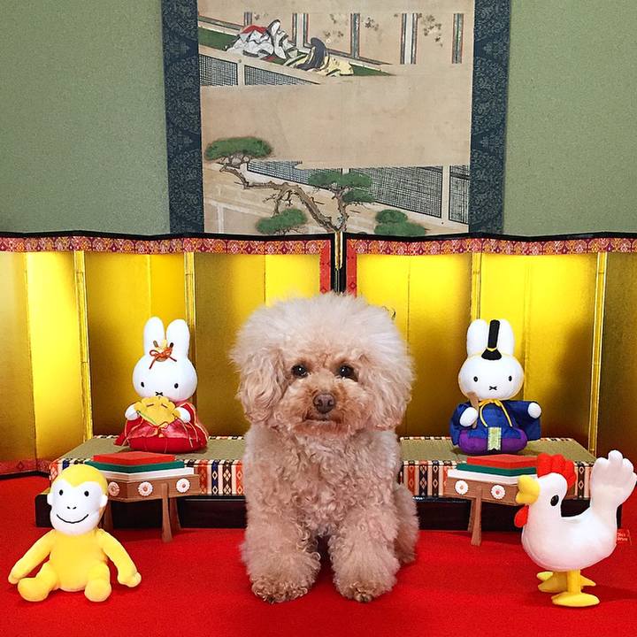 F47bda3e 30fc 4254 918d a3e33bb9a5dd