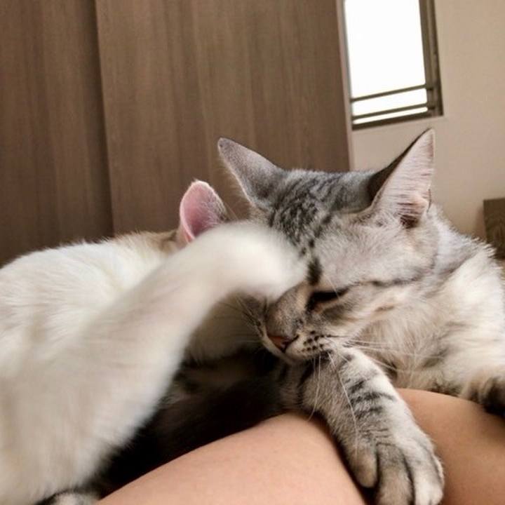 F47cd7f8 0dbc 4476 a695 175e79048bca