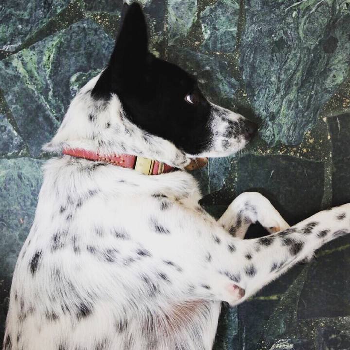 F47d0730 652f 4257 a532 343495285ab4