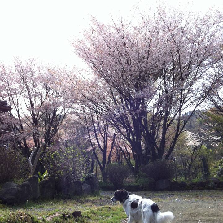 F47d270d c291 4d42 b44f 2d9a7ff0946a