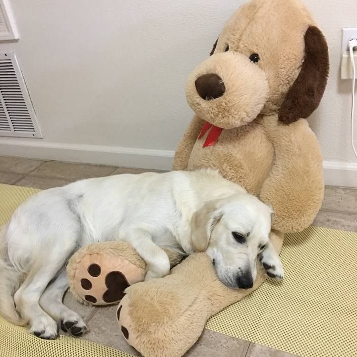 F47d51d8 4d0e 4197 a7d0 c80fda311c44