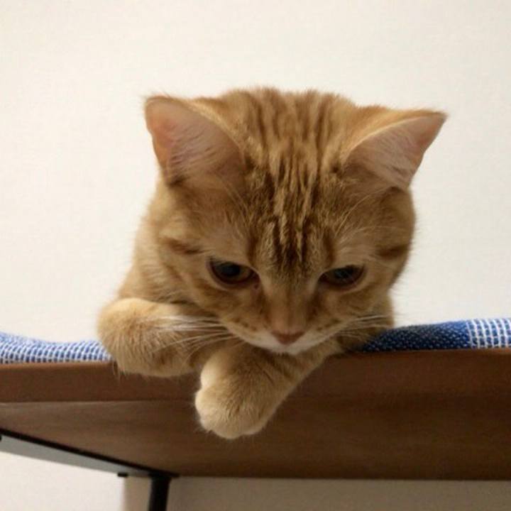 F47d7159 c1ec 46d1 b8d2 e85eee2605b8