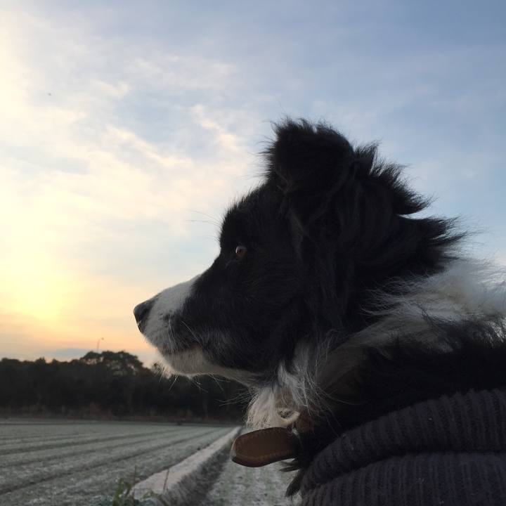 F47dc07b ad3e 4002 83c9 ec2806f3c670