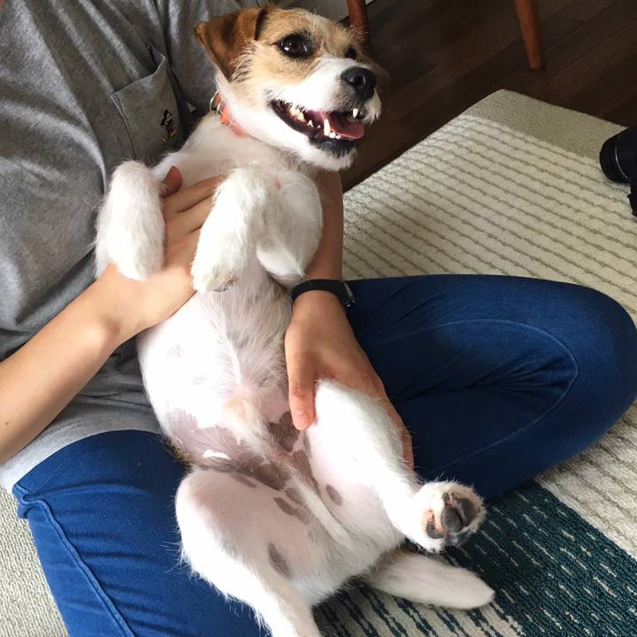 F47e336b 2ab7 4c7a b073 31567ad675af