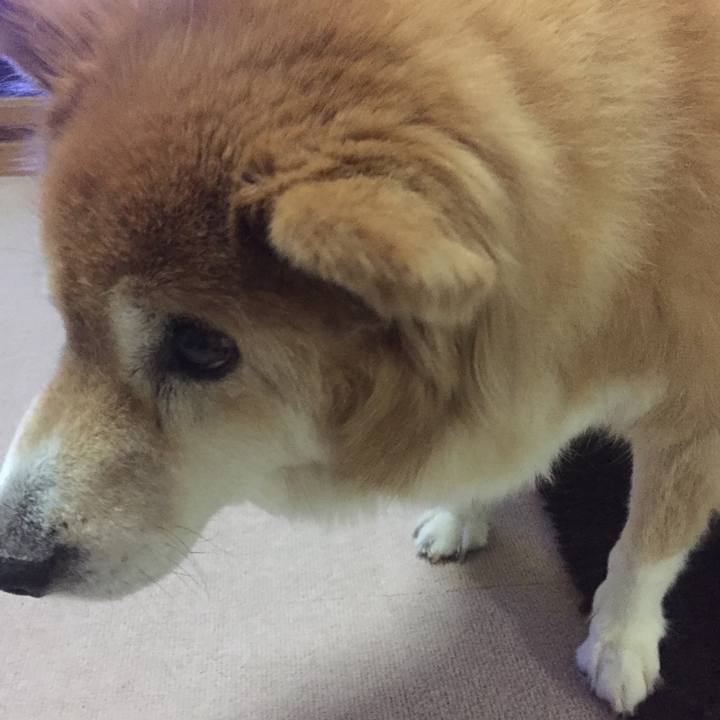 F47e748f 2f66 44f6 891f 26ad92cac3ff