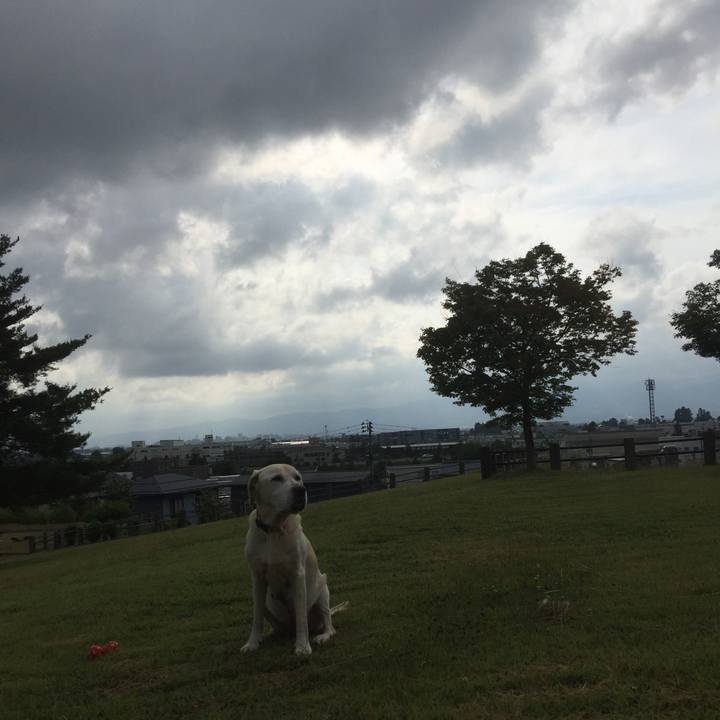 F47f4eee e83c 46e9 9e5b bbbc94b9dca4