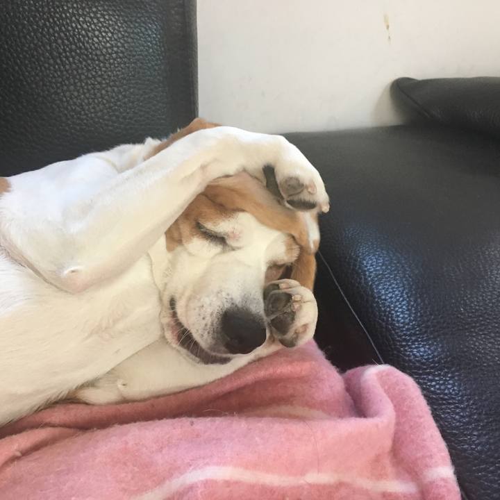 F47fbdad 4c6f 44e5 b167 a47d40ff77d1