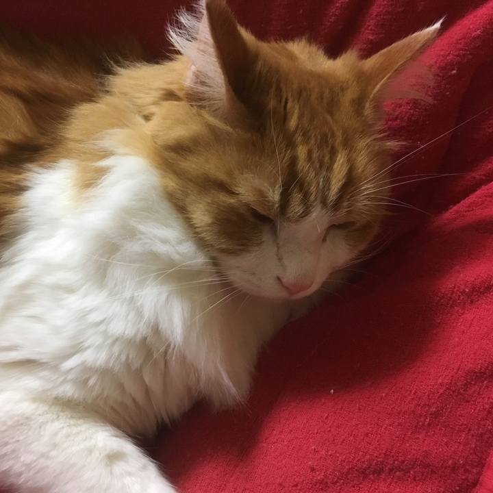 F47ff9bd 6b46 423e af2b 69608c287033