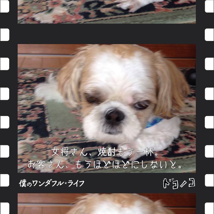 F480b359 7fc0 4373 bdeb 46cf0ae6bd87