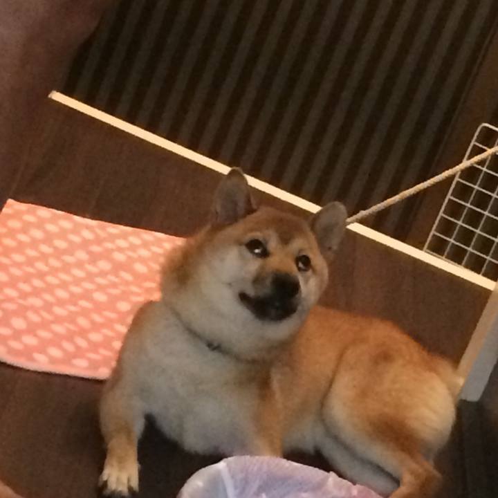 F481fa6d e951 4559 9436 aec97cd6f35e