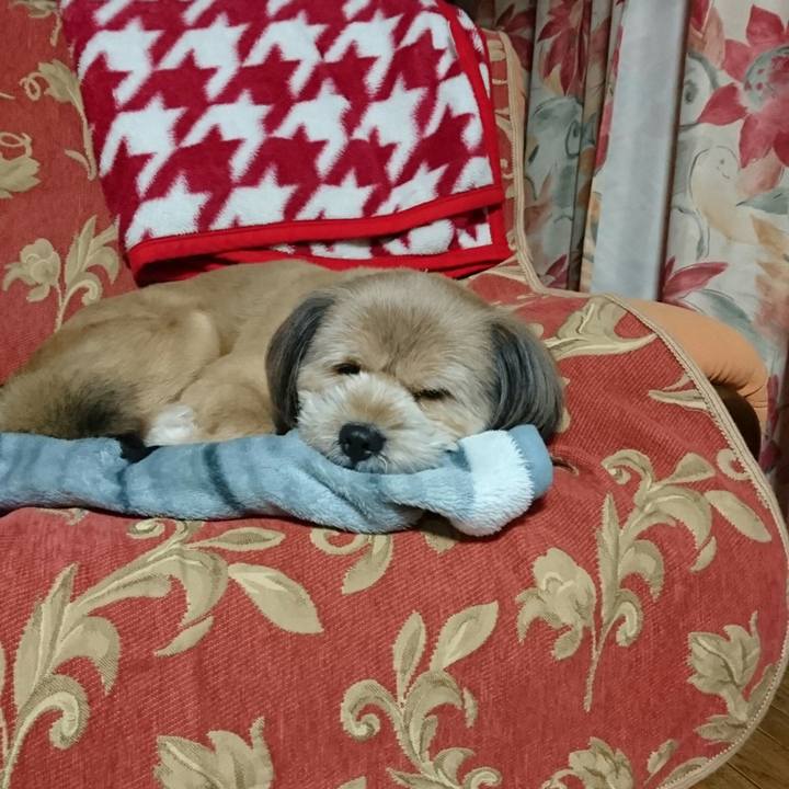 F482e0de c046 4f8c 99f0 8d1f0bafe235